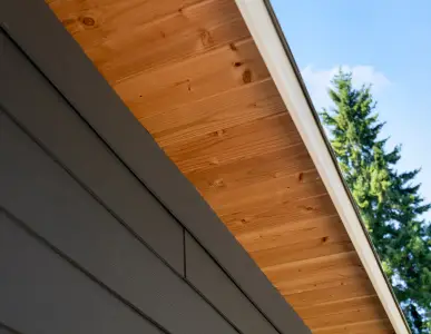 Home Exterior 